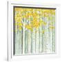 Aspen World-Herb Dickinson-Framed Photographic Print