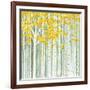 Aspen World-Herb Dickinson-Framed Photographic Print