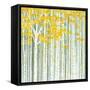 Aspen World-Herb Dickinson-Framed Stretched Canvas