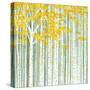 Aspen World-Herb Dickinson-Stretched Canvas