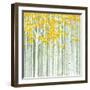 Aspen World-Herb Dickinson-Framed Photographic Print