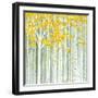 Aspen World-Herb Dickinson-Framed Photographic Print