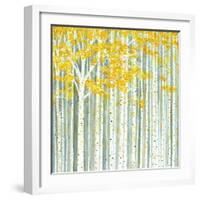 Aspen World-Herb Dickinson-Framed Photographic Print