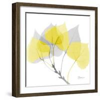 Aspen Yellow Gray-Albert Koetsier-Framed Photographic Print