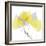 Aspen Yellow Gray-Albert Koetsier-Framed Photographic Print