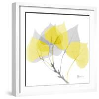 Aspen Yellow Gray-Albert Koetsier-Framed Photographic Print