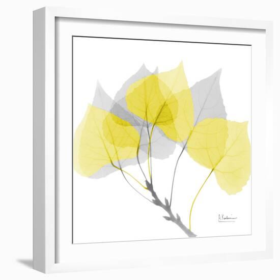 Aspen Yellow Gray-Albert Koetsier-Framed Photographic Print