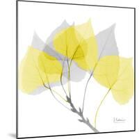 Aspen Yellow Gray-Albert Koetsier-Mounted Photographic Print