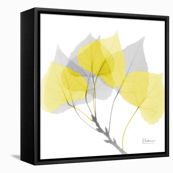 Aspen Yellow Gray-Albert Koetsier-Framed Stretched Canvas