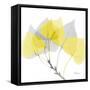 Aspen Yellow Gray-Albert Koetsier-Framed Stretched Canvas