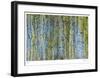 Aspen-Mj Lew-Framed Limited Edition