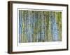 Aspen-Mj Lew-Framed Limited Edition