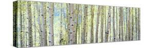 Aspen-Shelley Lake-Stretched Canvas