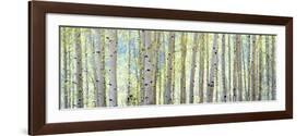 Aspen-Shelley Lake-Framed Premium Photographic Print