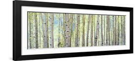 Aspen-Shelley Lake-Framed Premium Photographic Print