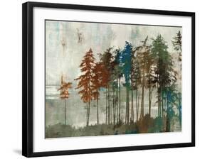 Aspen-Andrew Michaels-Framed Art Print