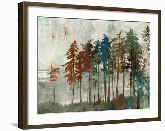 Aspen-Andrew Michaels-Framed Art Print