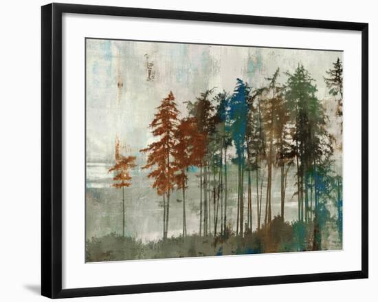 Aspen-Andrew Michaels-Framed Art Print