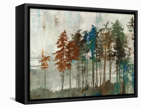 Aspen-Andrew Michaels-Framed Stretched Canvas