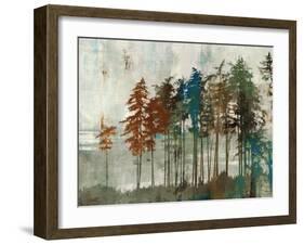 Aspen-Andrew Michaels-Framed Art Print