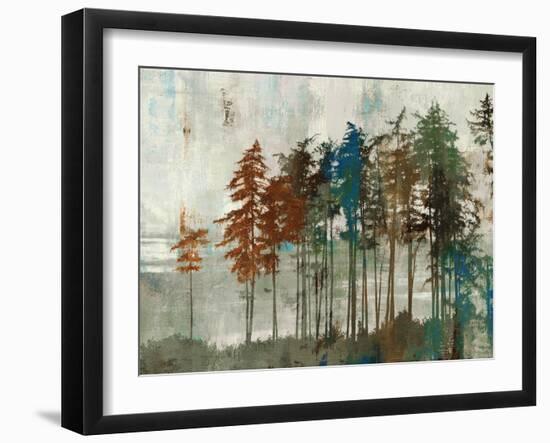 Aspen-Andrew Michaels-Framed Art Print