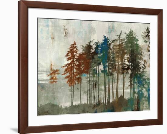 Aspen-Andrew Michaels-Framed Art Print