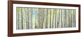 Aspen-Shelley Lake-Framed Photographic Print