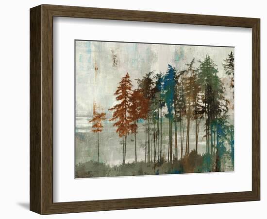 Aspen-Andrew Michaels-Framed Art Print