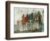 Aspen-Andrew Michaels-Framed Art Print