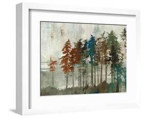 Aspen-Andrew Michaels-Framed Art Print