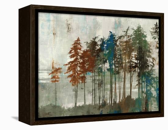 Aspen-Andrew Michaels-Framed Stretched Canvas