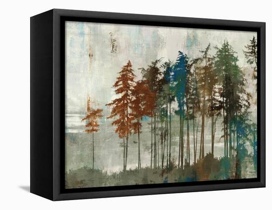 Aspen-Andrew Michaels-Framed Stretched Canvas