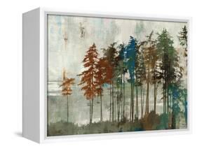 Aspen-Andrew Michaels-Framed Stretched Canvas