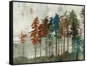 Aspen-Andrew Michaels-Framed Stretched Canvas