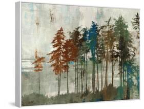 Aspen-Andrew Michaels-Framed Stretched Canvas