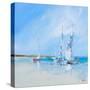 Aspendale Sails 1-Craig Trewin Penny-Stretched Canvas