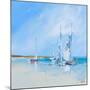 Aspendale Sails 1-Craig Trewin Penny-Mounted Art Print