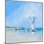 Aspendale Sails 1-Craig Trewin Penny-Mounted Art Print