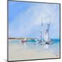 Aspendale Sails-Craig Trewin Penny-Mounted Art Print