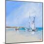 Aspendale Sails-Craig Trewin Penny-Mounted Art Print