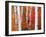 Aspens and Maples-Elizabeth Carmel-Framed Photographic Print