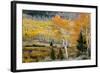 Aspens and willow thickets along U M Creek. Fishlake, Utah, USA-Scott T. Smith-Framed Photographic Print