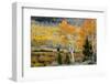 Aspens and willow thickets along U M Creek. Fishlake, Utah, USA-Scott T. Smith-Framed Photographic Print