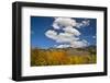 Aspens, Evergreens, Boulder Mountains, Autumn, Sawtooth NF, Idaho, USA-Michel Hersen-Framed Photographic Print