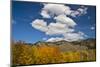 Aspens, Evergreens, Boulder Mountains, Autumn, Sawtooth NF, Idaho, USA-Michel Hersen-Mounted Photographic Print