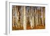 Aspens in Autumn, Zion National Park, Utah, USA-Michel Hersen-Framed Photographic Print