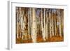 Aspens in Autumn, Zion National Park, Utah, USA-Michel Hersen-Framed Photographic Print