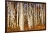 Aspens in Autumn, Zion National Park, Utah, USA-Michel Hersen-Framed Photographic Print