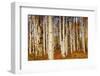 Aspens in Autumn, Zion National Park, Utah, USA-Michel Hersen-Framed Photographic Print