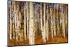 Aspens in Autumn, Zion National Park, Utah, USA-Michel Hersen-Mounted Photographic Print